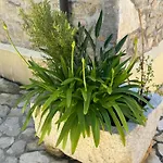 Mediterranes M. Terrasse Apartmán *